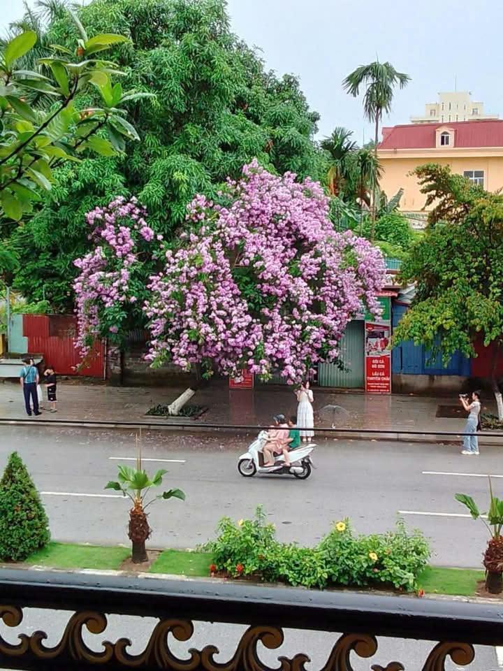 Quang Minh Hotel Ðố Sơn Zewnętrze zdjęcie