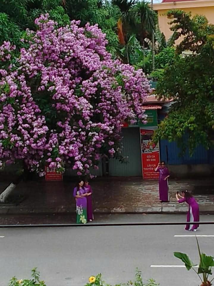 Quang Minh Hotel Ðố Sơn Zewnętrze zdjęcie